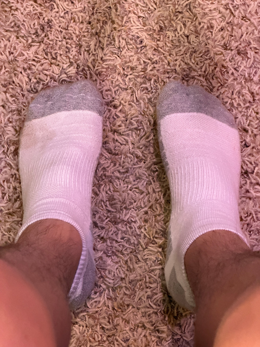 Sam’s Club Ankle Socks (worn 6 days)
