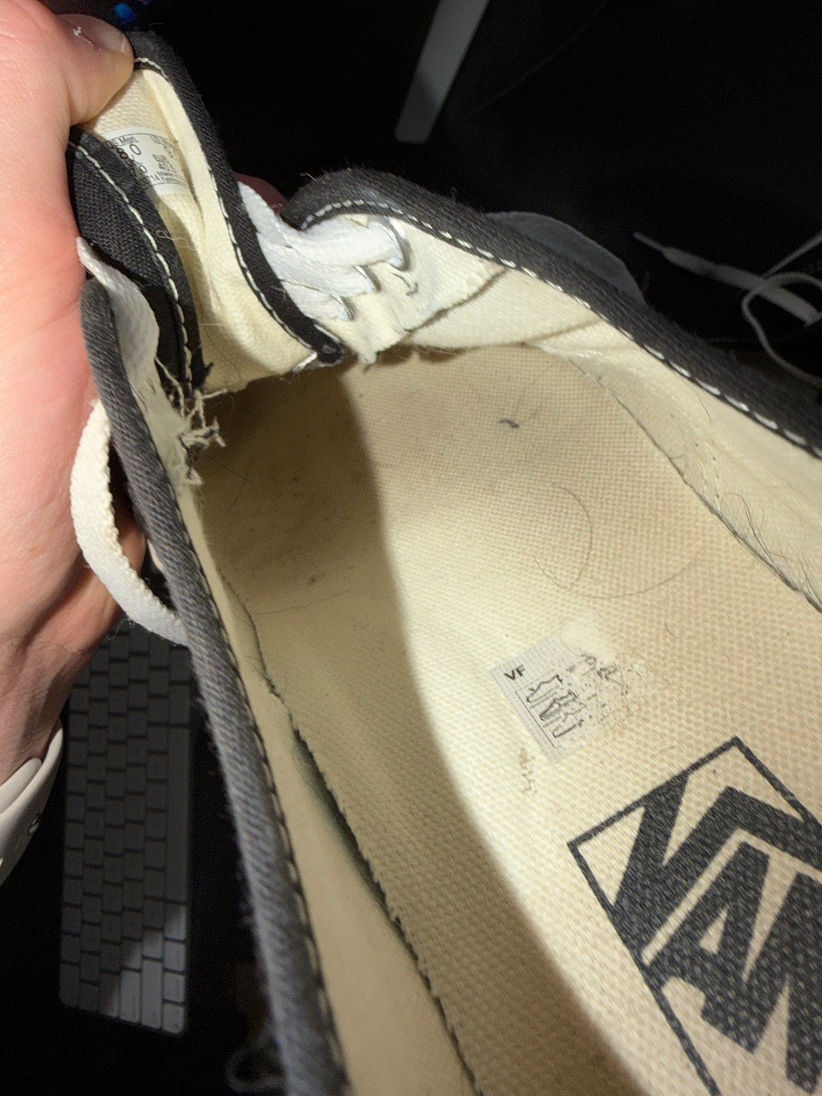 Vans Top Lace-up (worn 2 years)